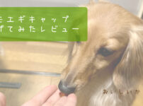モエギキャップの評判は？実際にあげてみた口コミをレビュー