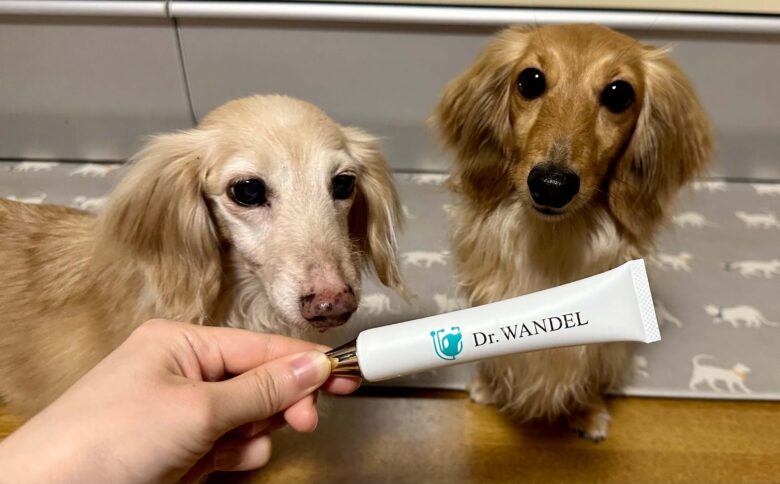 おすすめの犬用歯磨き粉7選